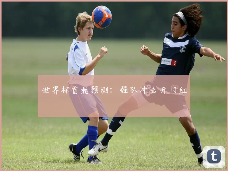 世界杯首轮预测:强队冲击开门红