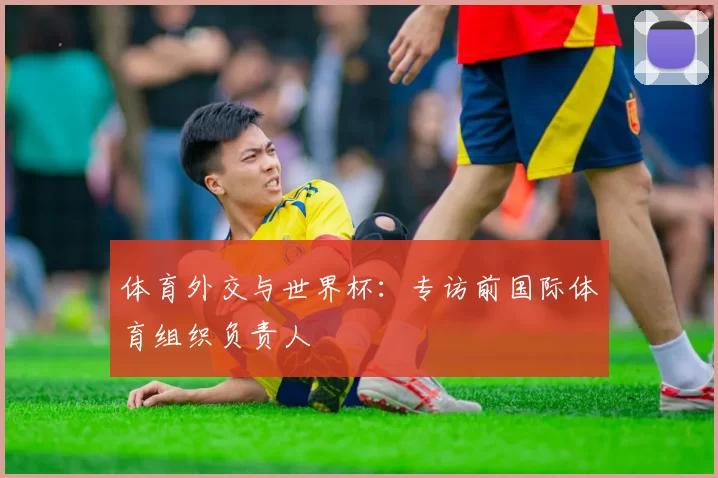 体育外交与世界杯:专访前国际体育组织负责人