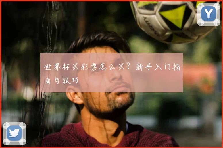 世界杯买彩票怎么买?新手入门指南与技巧
