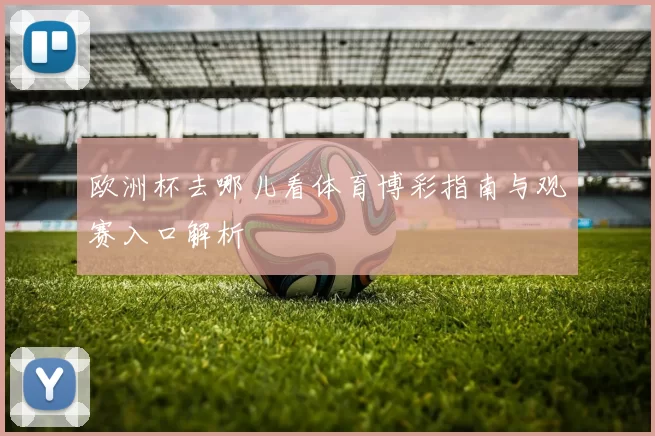 欧洲杯去哪儿看体育博彩指南与观赛入口解析