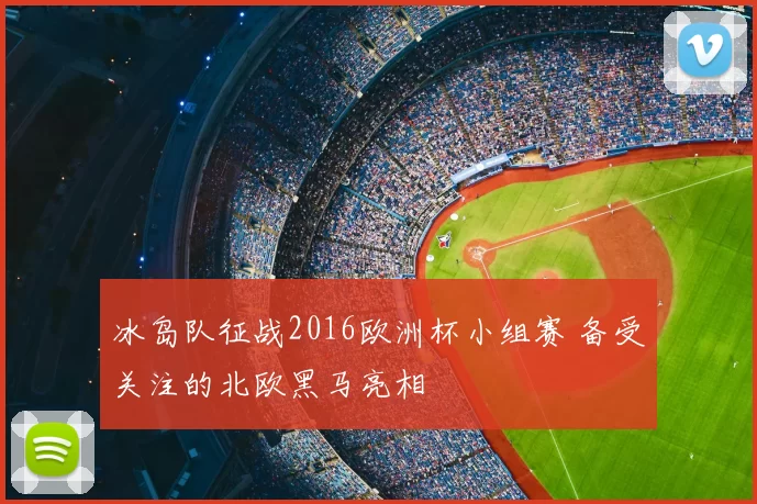 冰岛队征战2016欧洲杯小组赛 备受关注的北欧黑马亮相
