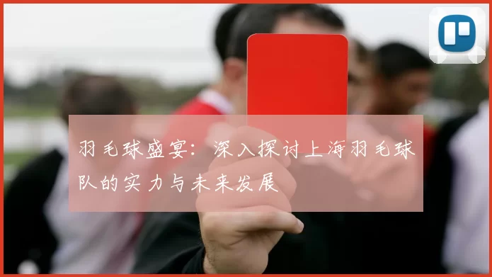 羽毛球盛宴：深入探讨上海羽毛球队的实力与未来发展