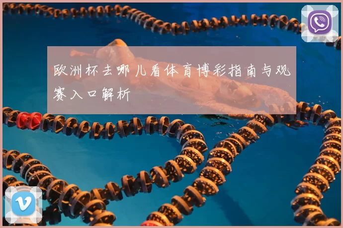 欧洲杯去哪儿看体育博彩指南与观赛入口解析