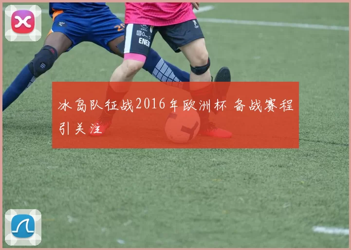 冰岛队征战2016年欧洲杯 备战赛程引关注