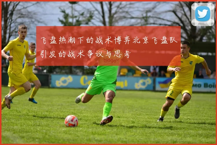 飞盘热潮下的战术博弈北京飞盘队引发的战术争议与思考